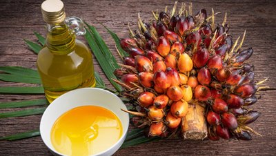 What Is RSPO?