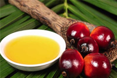 Discussion of Palm Oil’s Oleochemical Applications